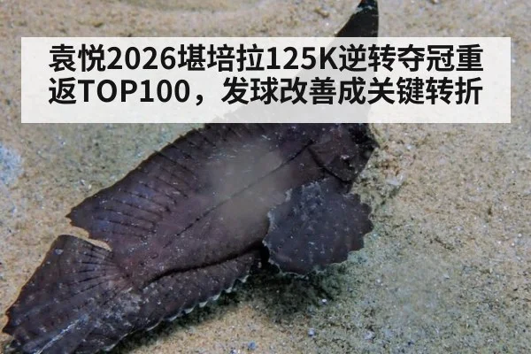 袁悦2026堪培拉125K逆转夺冠重返TOP100,发球改善成关键转折