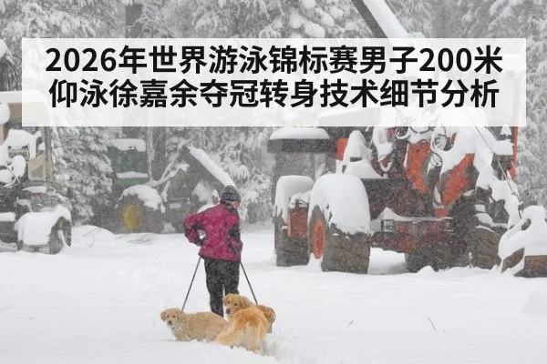 2026年世界游泳锦标赛男子200米仰泳徐嘉余夺冠转身技术细节分析